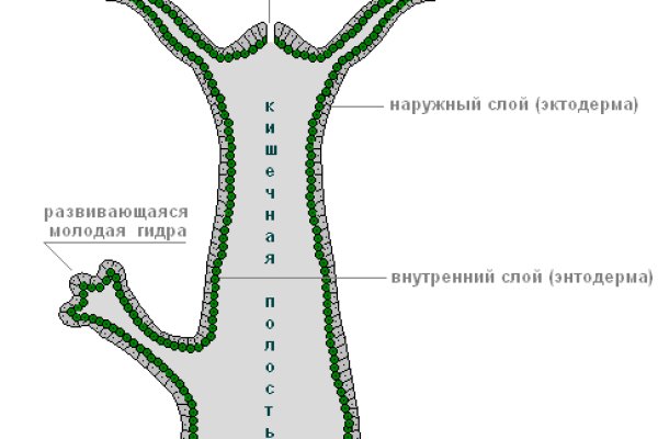 Кракен официальная kr2web in